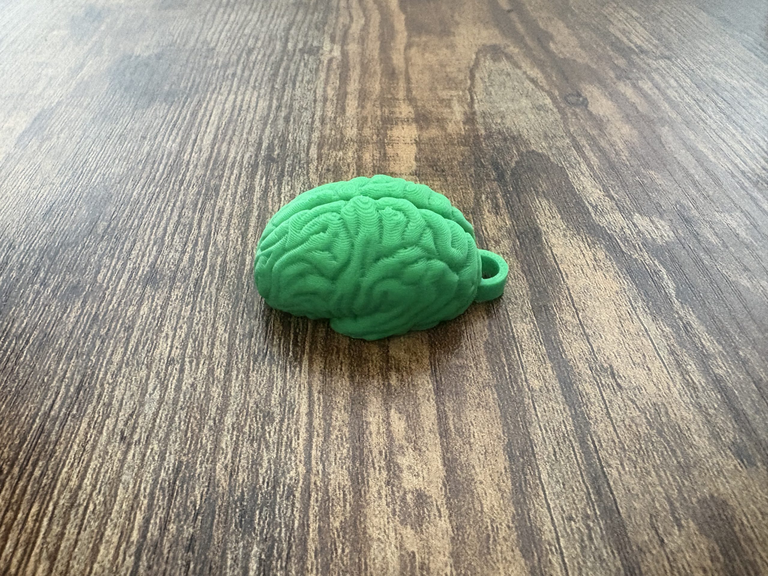 Brain Keychain "Use it" – Unique Motivational Gift | Geeky Accessory - Image 2